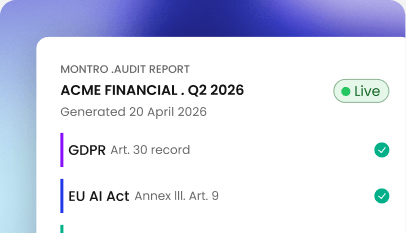Montro audit report preview with regulatory checklist